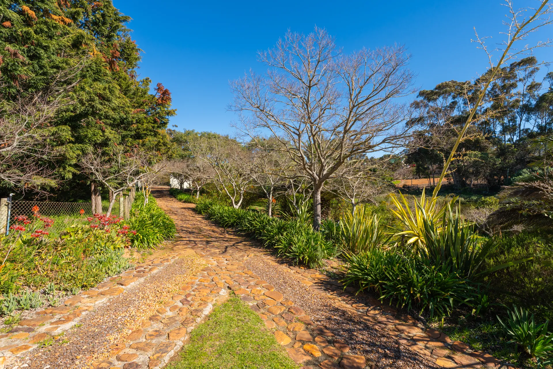 Landscaped gardens and lawns at Peace Valley