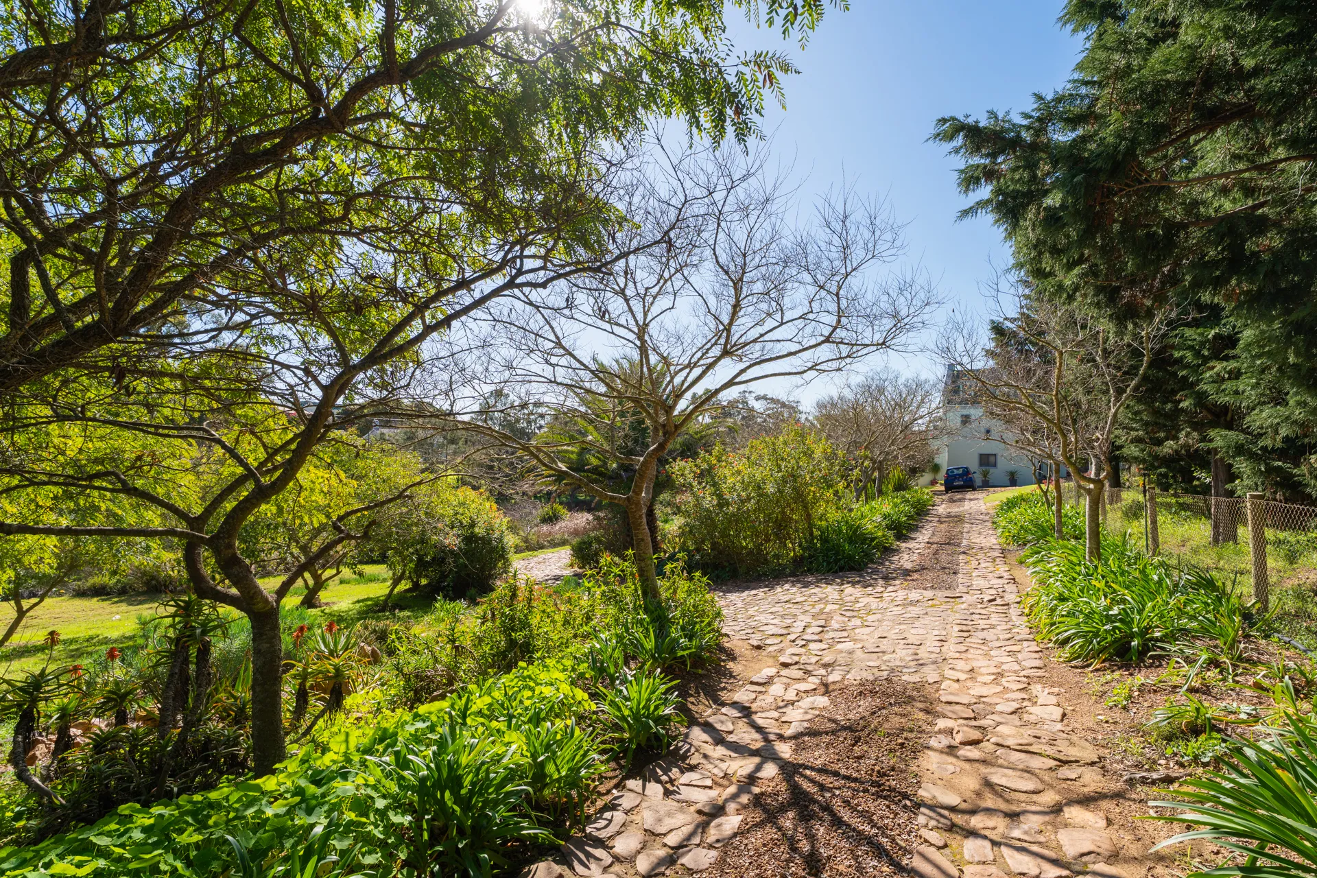 Flowering gardens at Peace Valley, Overberg