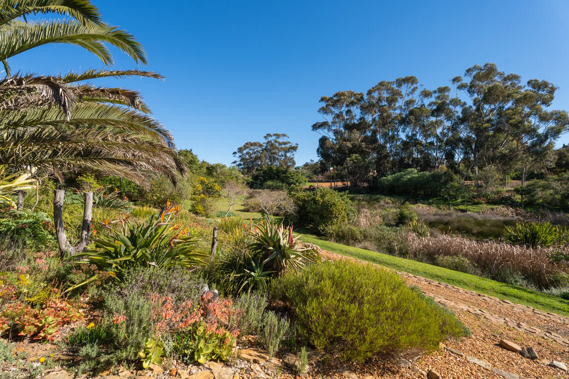 Wetland and birdlife in the Peace Valley gardens