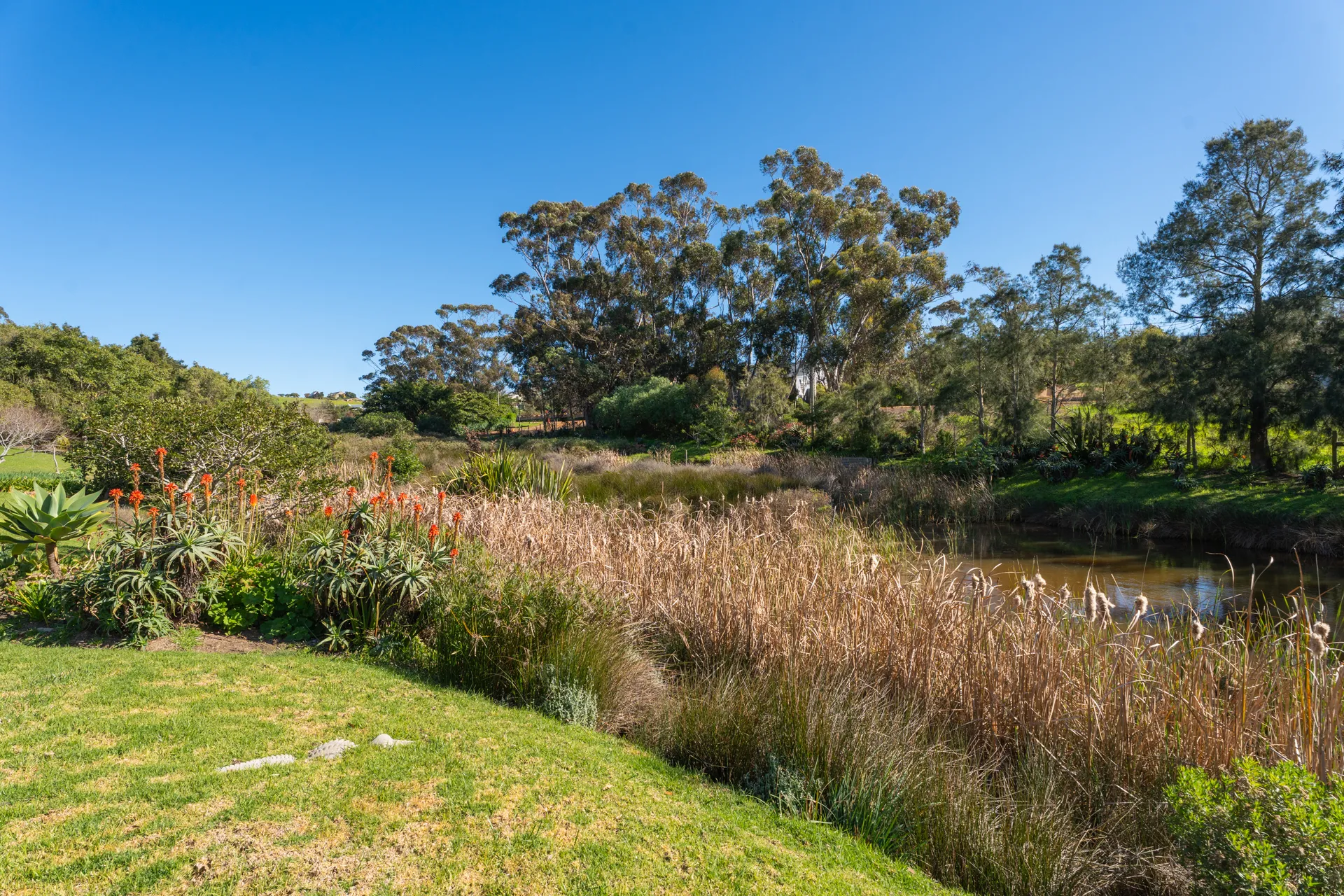 Garden pathways and grounds at Peace Valley
